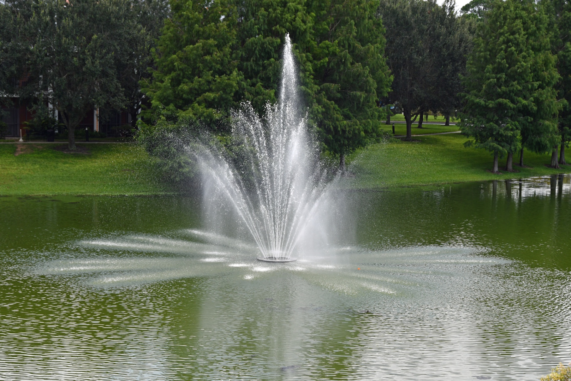 Lakes & Water Features