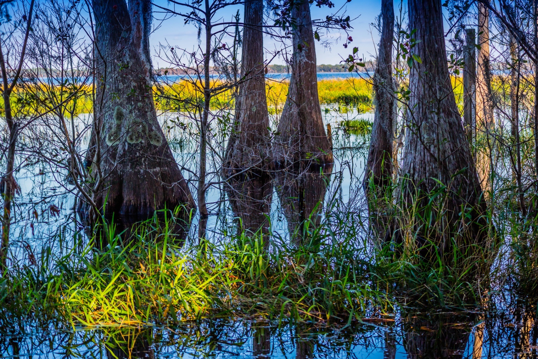 Lake Louisa State Park